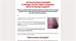 Desktop Screenshot of hornzipfel.net